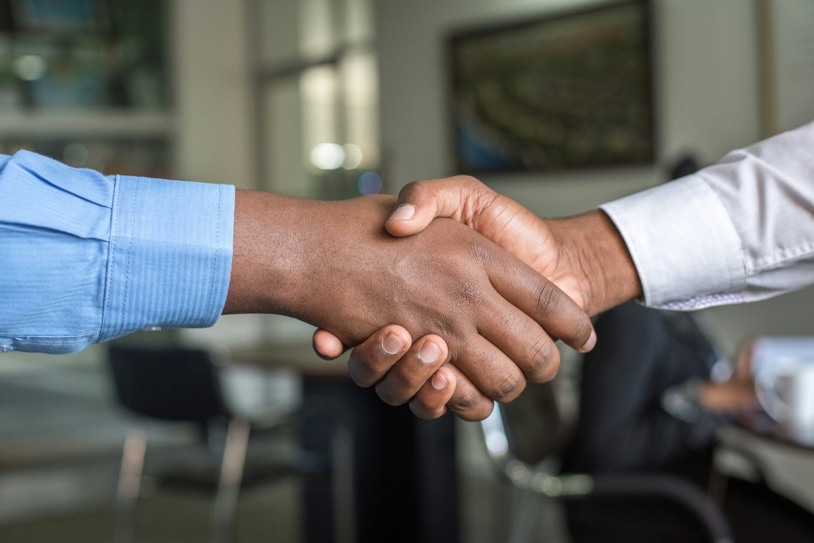 Partner and investor networking